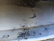 Renault Zoe II 19- bumper front front