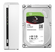 TS-133 2GB s diskami