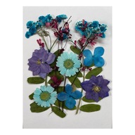 Lisované kvety, suché lisované kvety, DIY sušené modré a fialové