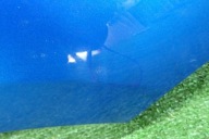 RENAULT MEGANE III fender right front front