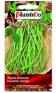 FASOLNIK CHIŃSKI długie strąki nasiona 2,5g PlantiCo