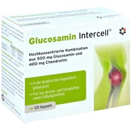 Glucosamin lntercell (vysoko koncentrovaný glukozamín a chondroitín) 120 Kaps