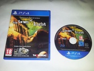 Czytaj opis --- The Town of Light --- PS4 / PS5 --- Unikat