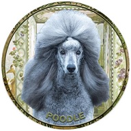 Samolepka na auto - Pudl / Caniche / Poodle