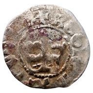 NumisMATI WS124 Półgrosz Jan Olbracht 1492-1501 srebro