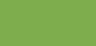 Okleina Samoprzylepna Meblowa Folia 45 x 50 cm Zielona MAT Lemon Green