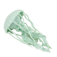 Plastové figúrky modelov medúz živé učenie vzdelávacie hračky pre zeleň