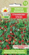 Komosa prútová Strawberry Sticks semená 0,1g