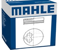 Mahle 029 55 01 Piest