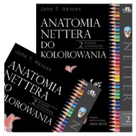 Anatomia Nettera do kolorowania John T. Hansen