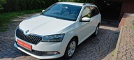 Škoda Fabia Skoda Fabia Salon PL Ledy 1.0MPI