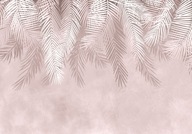 fototapeta palmové listy ružové perie 368 cm x 254