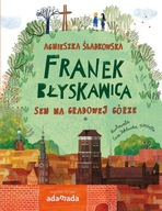 SEN NA GRADOWEJ GÓRZE. FRANEK BŁYSKAWICA