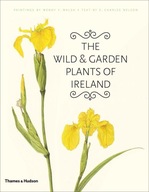 The Wild and Garden Plants of Ireland group work