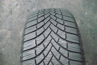 Bridgestone Blizzak LM005 205/55R16 94 H priľnavosť na snehu (3PMSF), výstuž (XL)