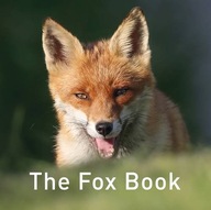 The Fox Book group work