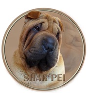 Samolepka na auto - Shar-pei