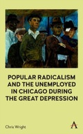 Popular Radicalism and the Unemployed in Chicago