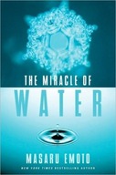 The Miracle of Water Emoto Masaru