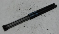 BMW E87 2.0 e 08R SILOWNIKI TELESKOPY del cofano KOMPLET 7118370
