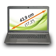 Laptop Medion Akoya E7226 17,3" Intel Pentium Quad-Core 8 GB / 256 GB šedý
