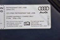 Capot AUDI A3 S3 8P Petit Grille AXW