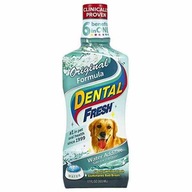 Dental Fresh Original Formula 503 ml
