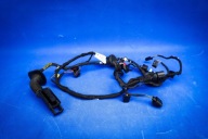bundle electrical door Audi A7 RS7 4G8971029EE