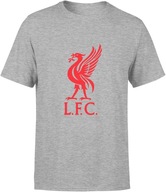 LIVERPOOL KOSZULKA MĘSKA FC PIŁKA NOŻNA ROZMIAR XL T-SHIRT MĘSKI TSHIRT