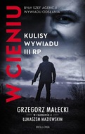 W cieniu. Kulisy wywiadu III RP Maziewski