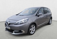 Renault Scenic Zadbany, Panorama, Kamera, Alca...