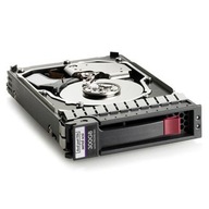 Hewlett Packard Enterprise Dual Port HDD 300 GB ho