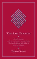 The Sole Panacea: A Brief Commentary on the