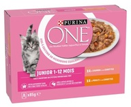 Purina ONE Junior mokra karma mix smaków 8x85g