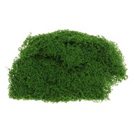 Plastový model Grass Prášok Falošná hlina z trávy DIY Pieskový stôl Micro Green