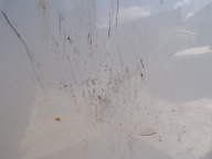 door right front VOLKSWAGEN TRANSPORTER T5 (R1)