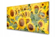 Obraz na tvrdenom skle Dekorácia steny Slnečnice Rastliny 140x70 cm
