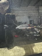 door left front FORD S-MAX and LIFT G6