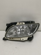 HALOGEN PRZECIWMGIELNY DAF XF106 1835884