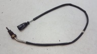 Sensor temperatury Gase VW Caddy III 2,0 TDI