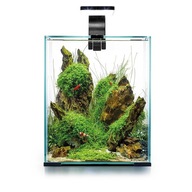 AQUAEL SHRIMP SET DAY&NIGHT 30L BACK - ZESTAW