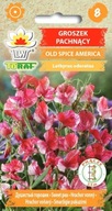 HRÁŠOK VONIACI Old Spice America pekné popínavé rastliny 1g