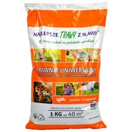 TRAWA TRAWNIK NASIONA TRAWY UNIWERSALNA 1KG TRAWY Z IŁAWY