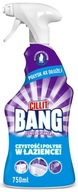 CILLIT BANG spray środek do Czyszczenia Łazienki Czystość i Połysk 750 ml