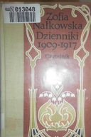 Dzienniki. T. 2 1909-1917 - Nałkowska