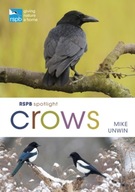 RSPB Spotlight Crows Unwin Mike