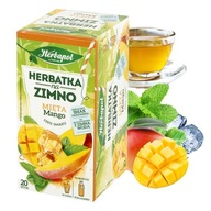 HERBAPOL herbata HERBATKA NA ZIMNO mięta mango 20 TOREBEK