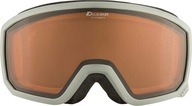 ALPINA SKIBRILLE SCARABEO S DH A7262 GOGLE NARCIARSKIE MĘSKIE NA OKULARY