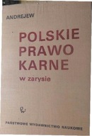 Polskie Prawo Karne w zarysie - Igor Andrejew