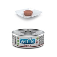 Farmina Vet Life Cat Hepatic 85g